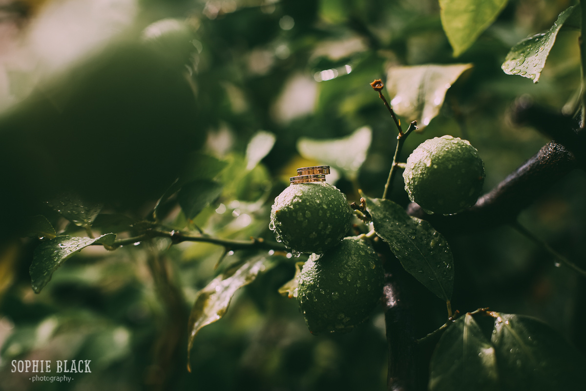 Анастасия и Владимир в Черногории. Соня Черных (sophieblack)