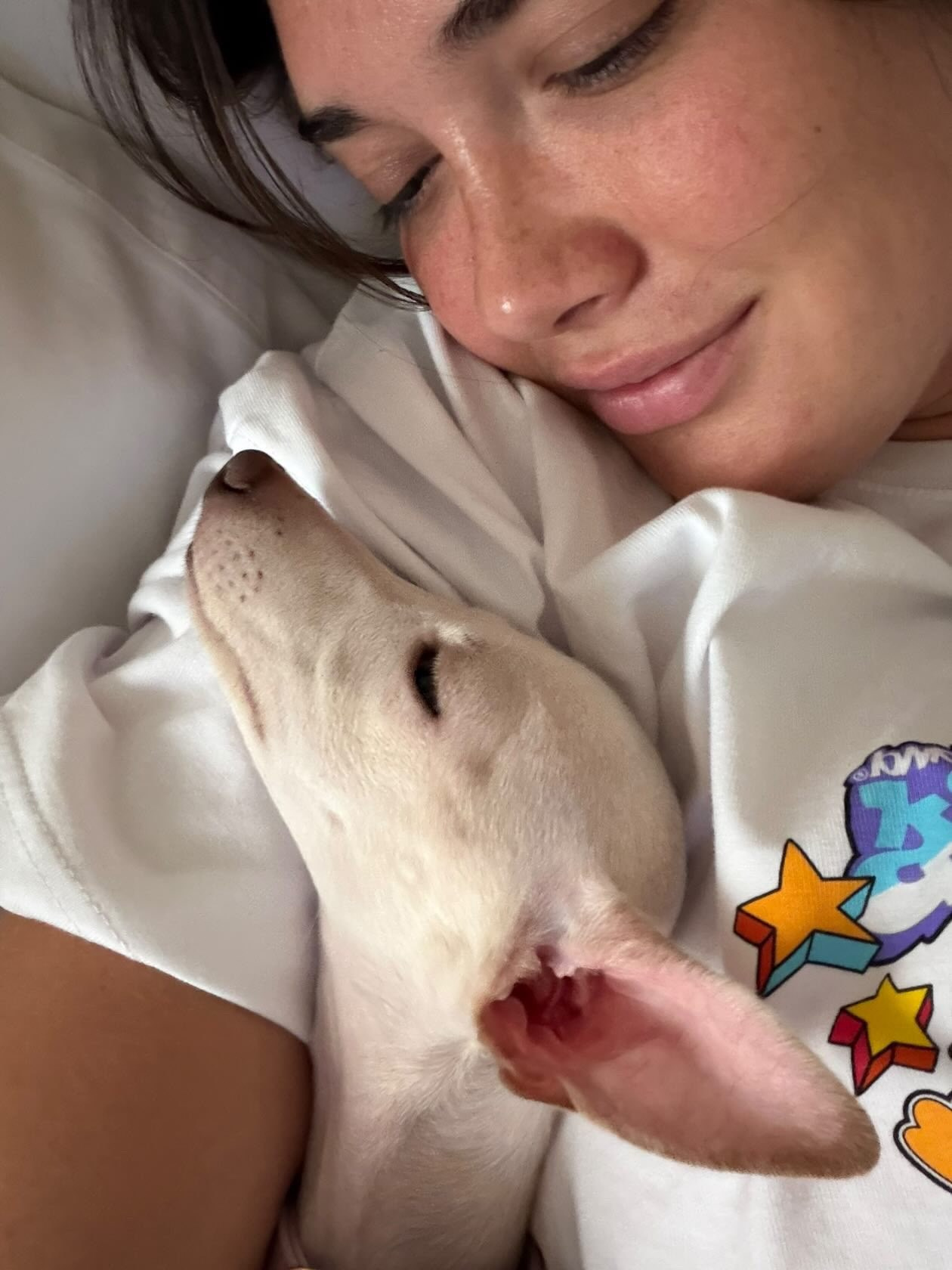 Профессиональный питомник левреток РКФ/FCI ASTI SAPPHIRE 💎 Сочи|Санкт-Петербург