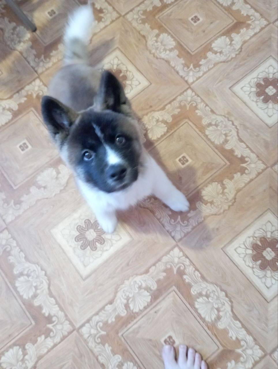 Rubylight Surprise everyone * Саня