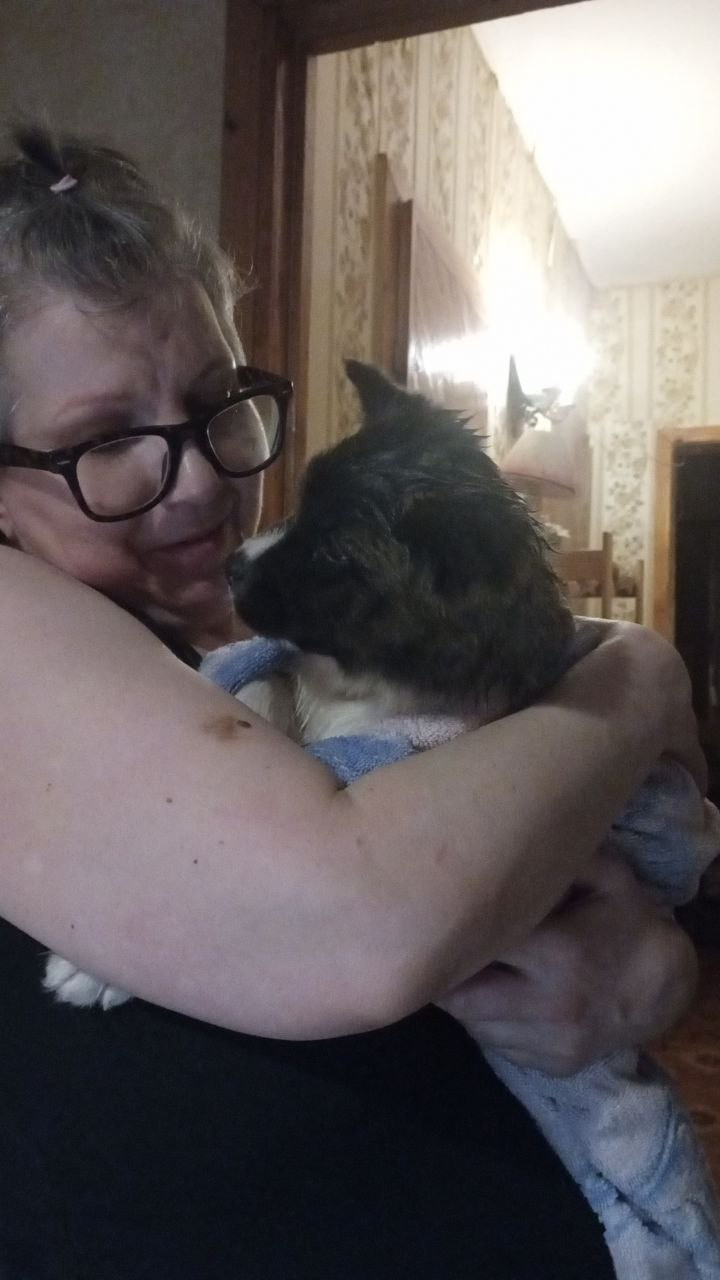 Rubylight Surprise everyone * Саня