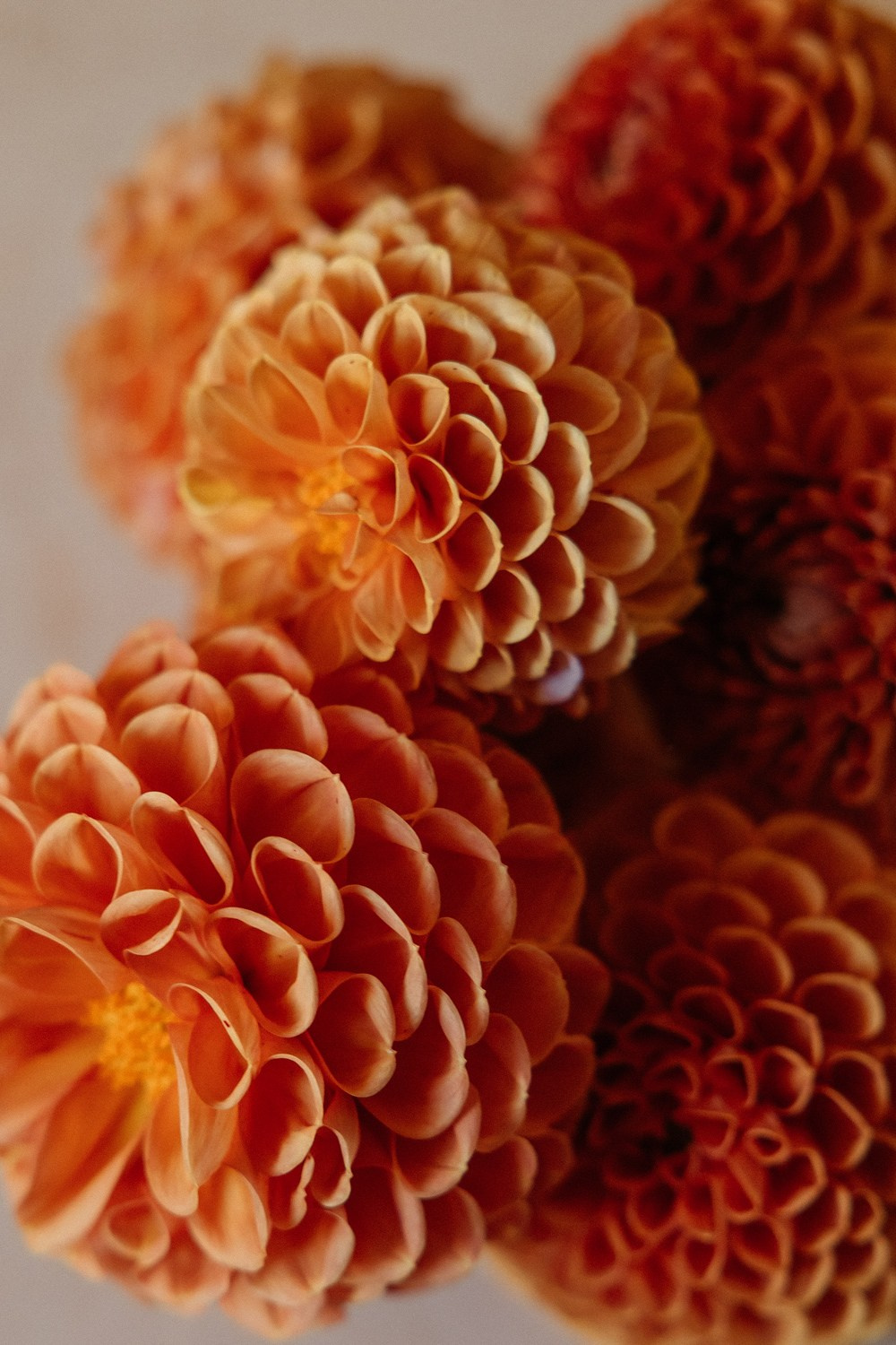 K & N. Свадебный фотограф Москва