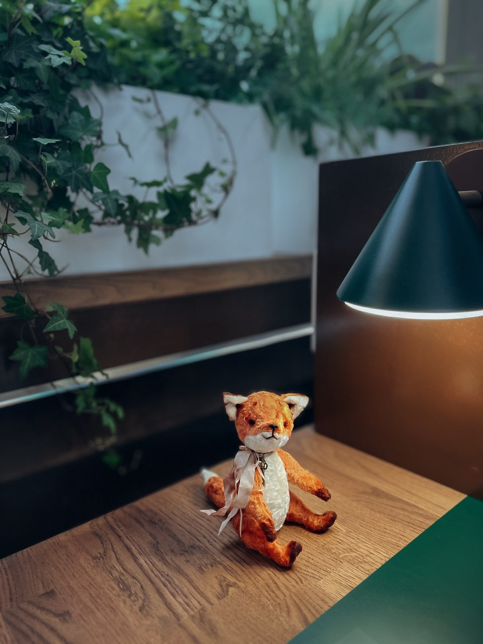 Тедди. Фотограф Ольга Сальманович