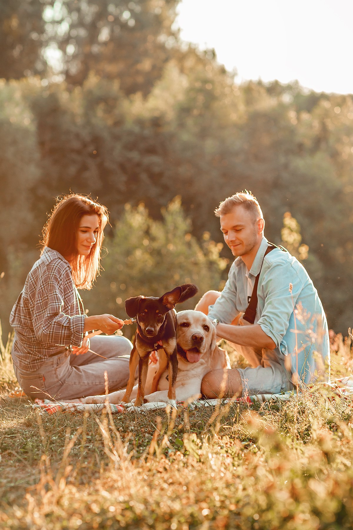 Наташа, Коля, Люк и Мартин. Семейный фотограф анималист Мария Крючкова