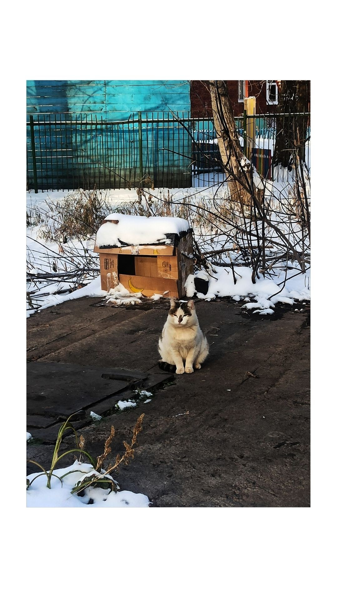 Зима по-сибирски. Главная