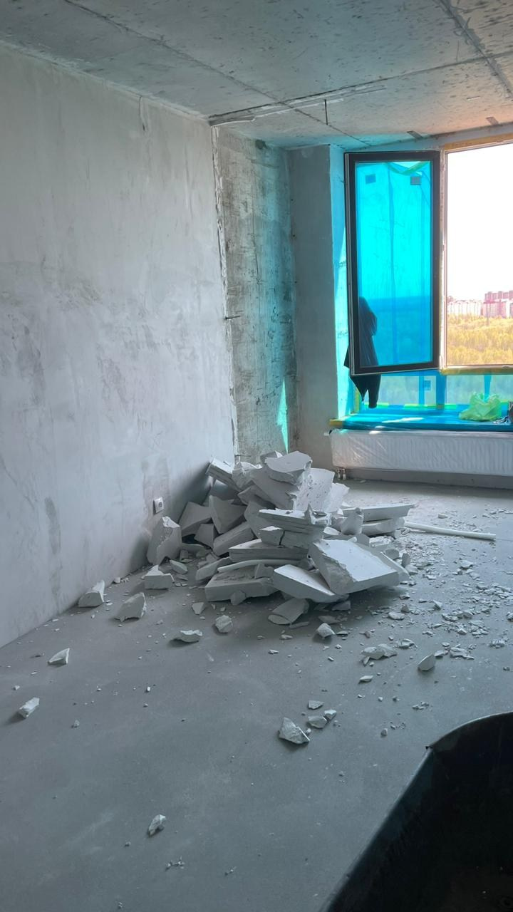 Демонтажные работы. Мамонт