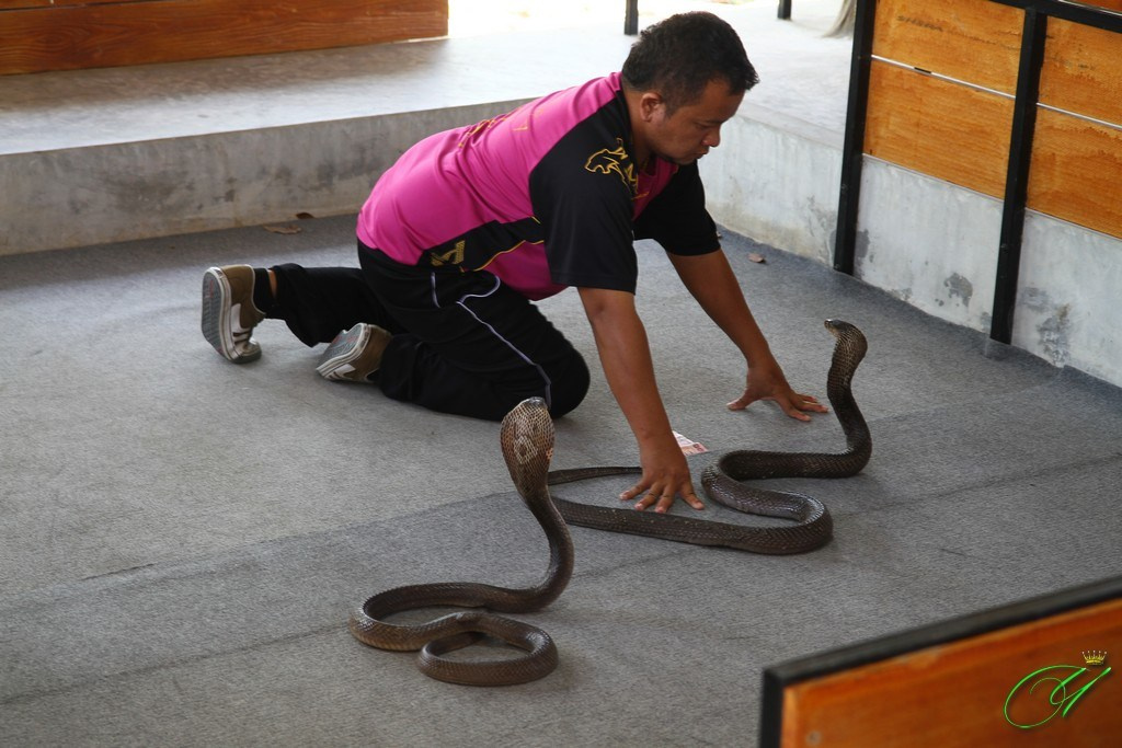 Тайланд. Пхукет 2013. Улица, люди, жизнь…