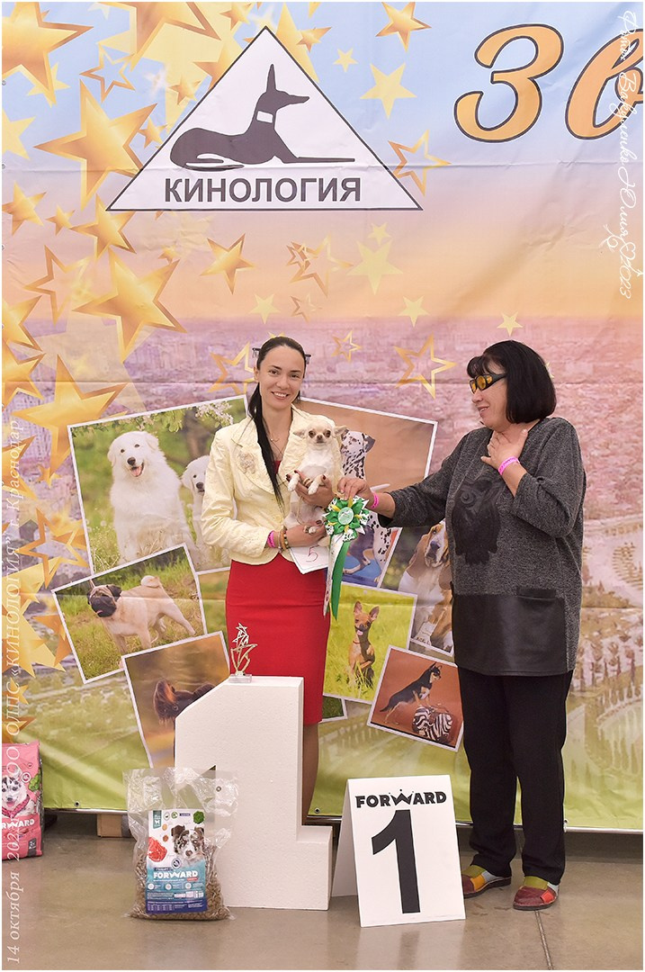 Репортаж. Фотограф анималист | семейный Юлия Вакуленко, г. Краснодар