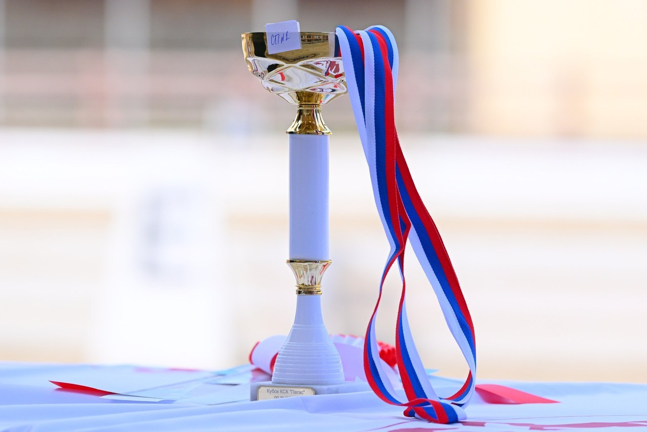 Отзывы. ТУРНИРНАЯ КОННАЯ ФОТОГРАФИЯ, Руднева Ольга и Евгений Адеев