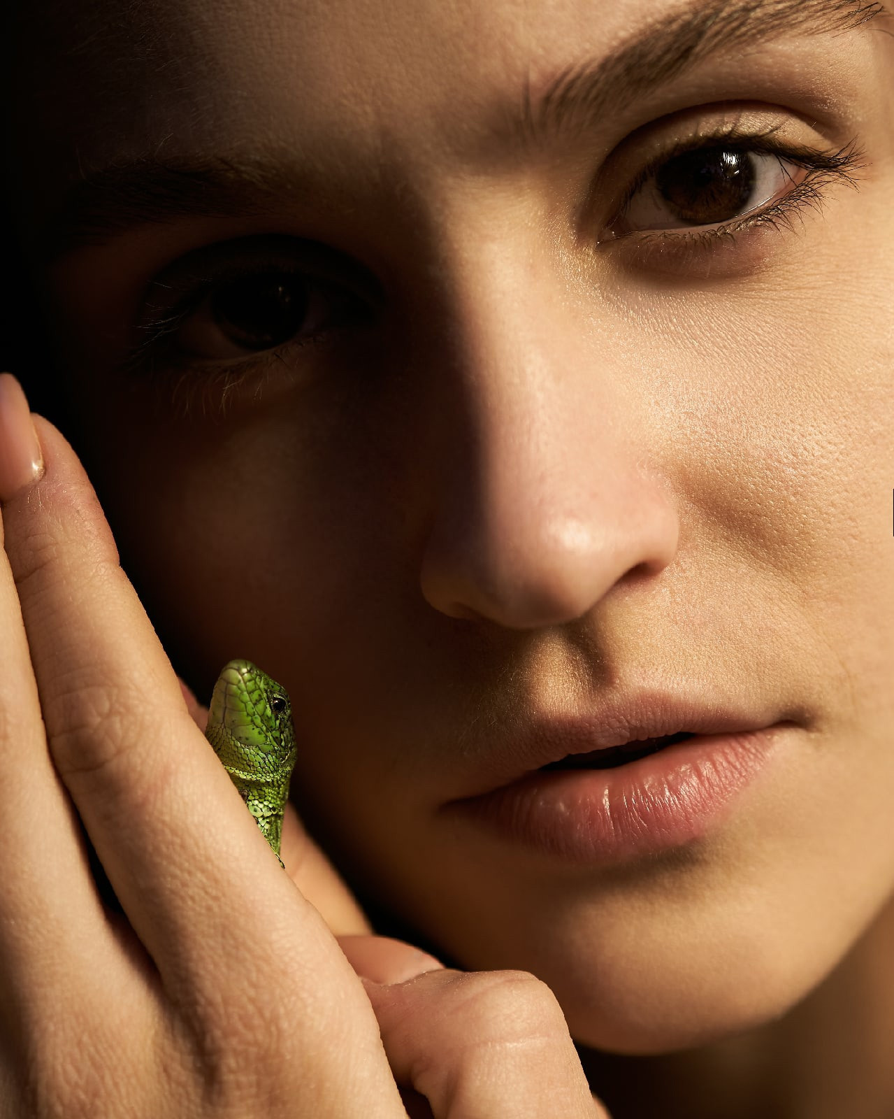 Фотограф животных в Москве и московской области. Профессиональный фотограф в Москве — Максим Дьяконов