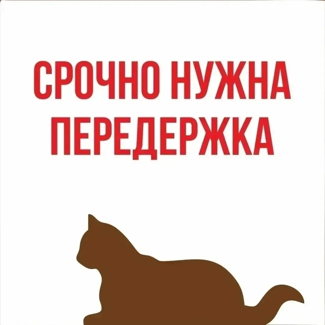 Фотограф Сергей Белов — портреты, fashion, репортаж | стиль и креатив | Москва и Подмосковье