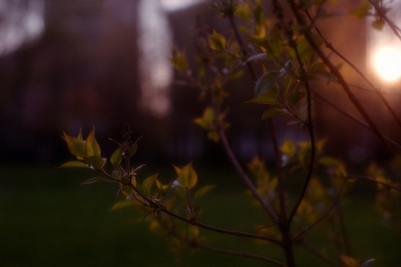 РАЗНОЕ. Андрей Пономарёв