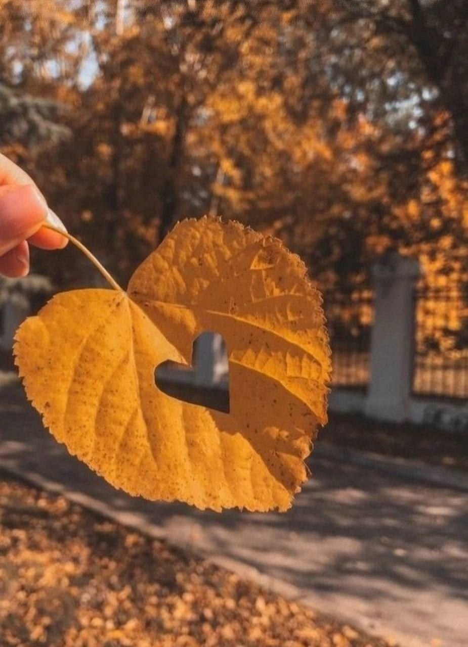 Страница со стихами. Поэт Александр Зайцев