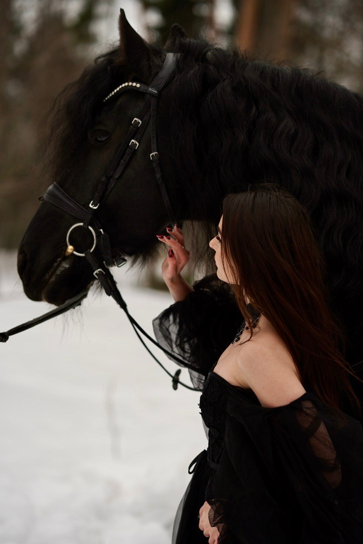 Фото с животными. Фотограф Елена — Севастополь, Крым, Москва