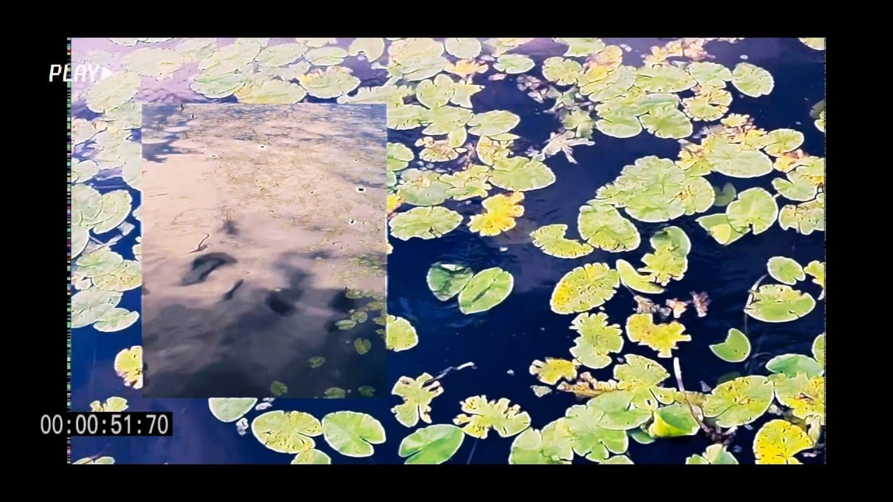 Just together. Ольга Лончакова, фотограф, режиссер