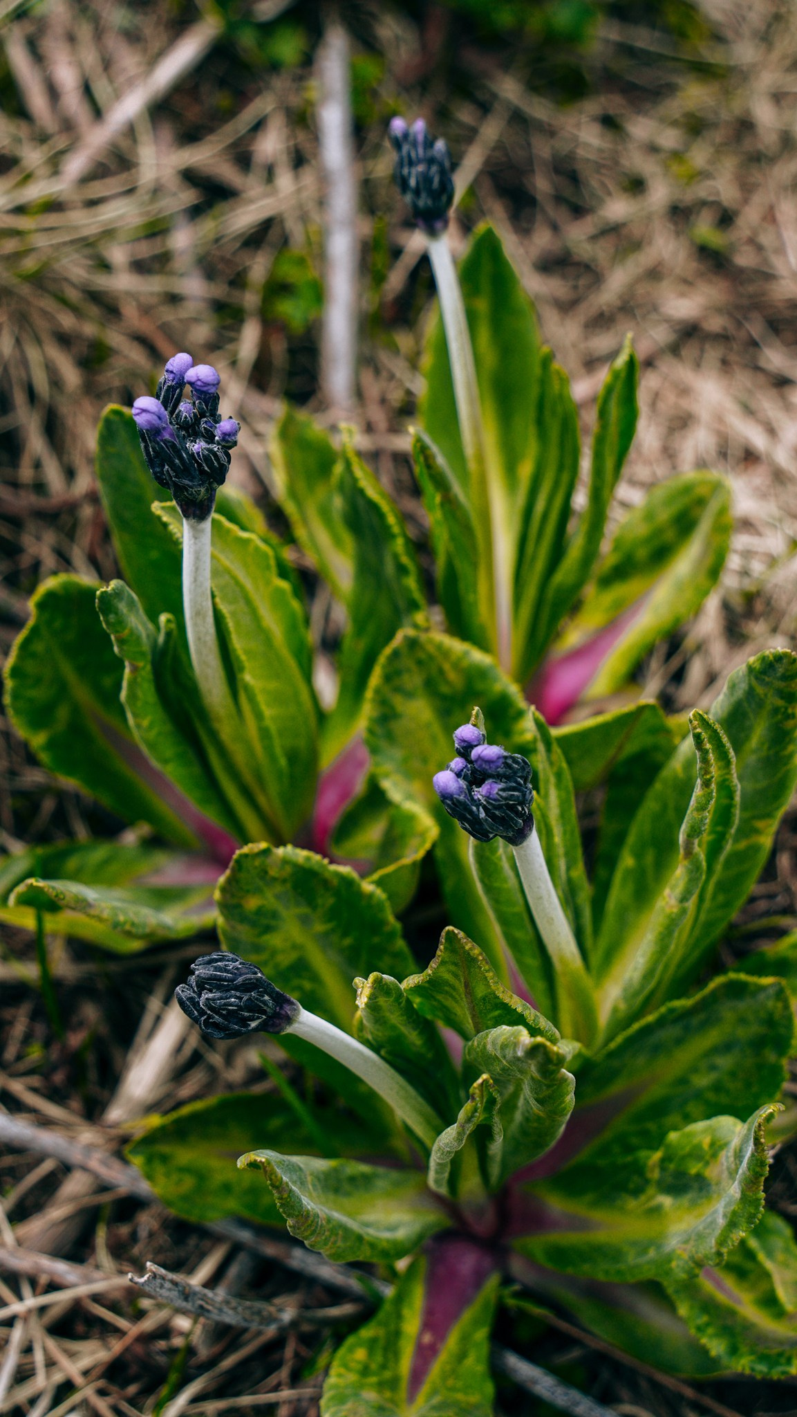 Кыргызстан. Человек с фотокамерой