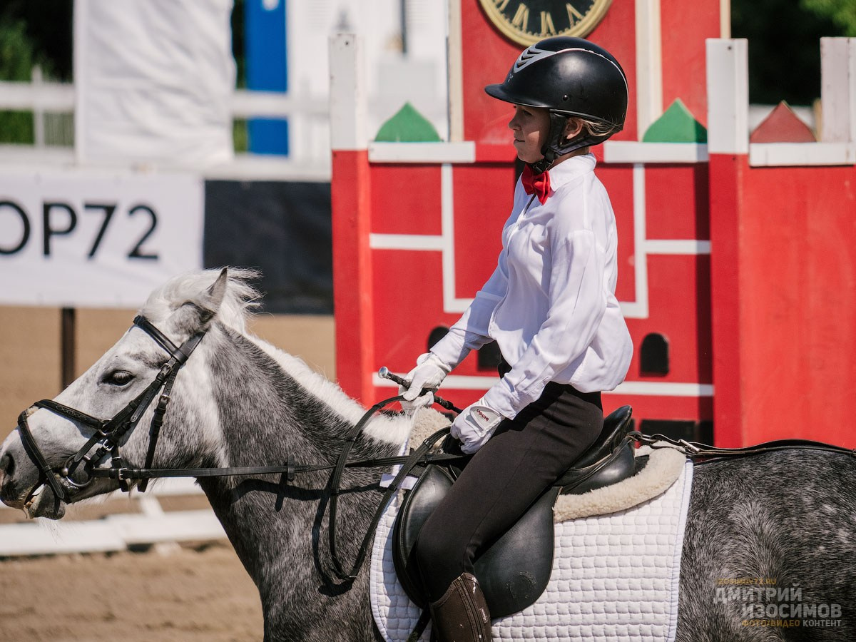 Скачки фаворитов 2024