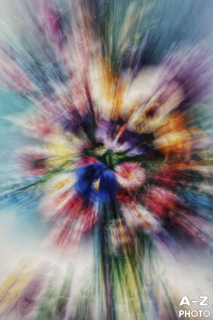 #ФОТОНЕДЕЛИ 15.02.2026. Женский семейный фотограф Тула Москва Захарова Анна