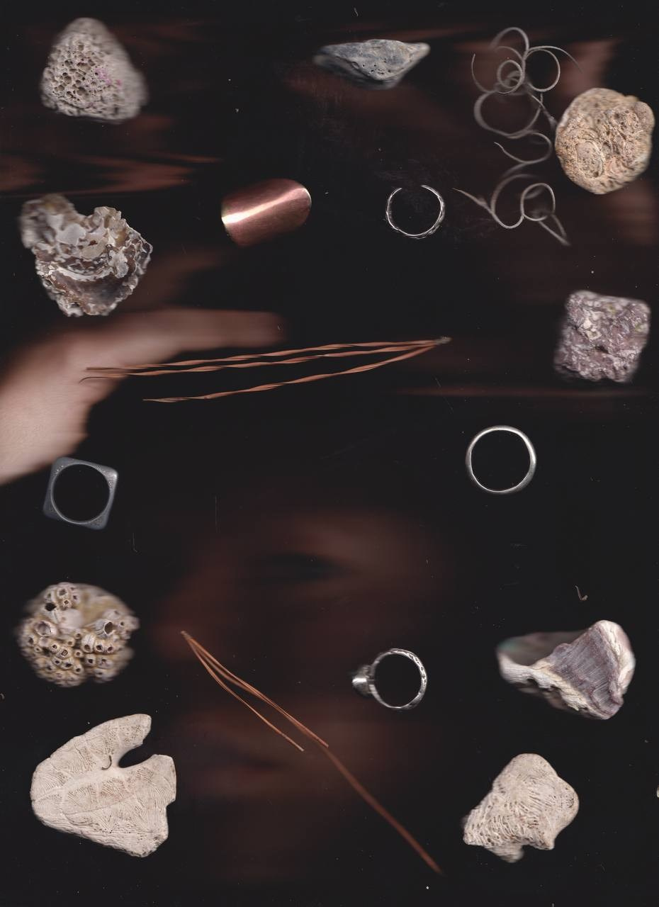 SEDIMENTS AND FOSSILS. Xexexena.ru