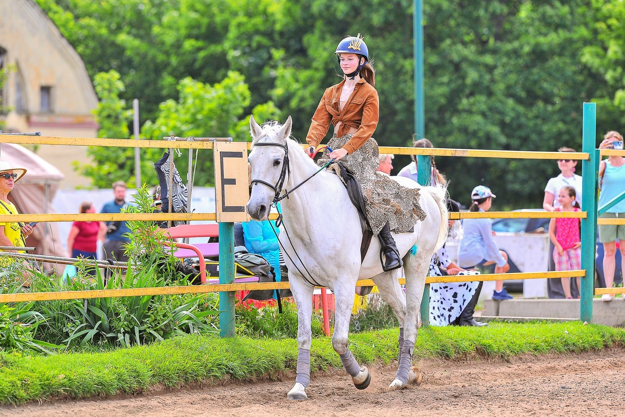 Отзывы. ТУРНИРНАЯ КОННАЯ ФОТОГРАФИЯ, Руднева Ольга и Евгений Адеев
