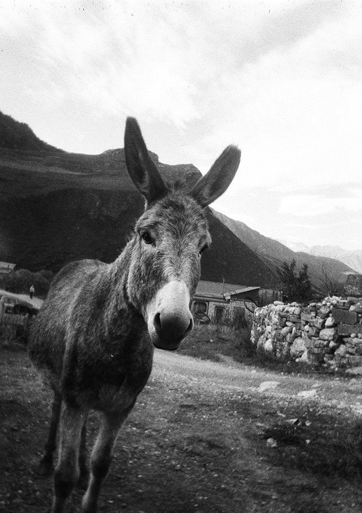 Prints. North Ossetia