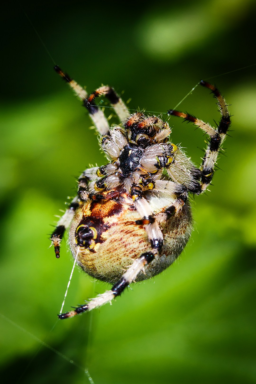 Фотограф в Казани — Александр Сафронов