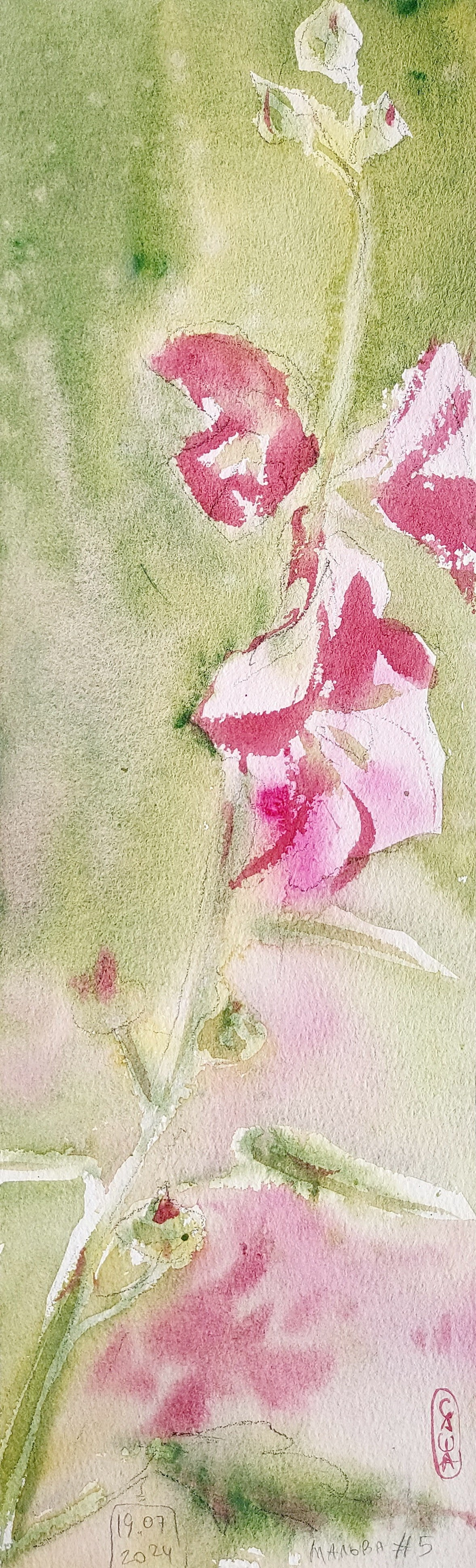 Flowers. Alexander Manaenkov | Watercolor Artist from Siberia