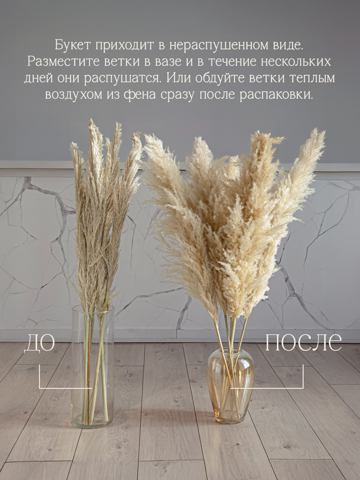 Сухоцветы. Разработка фирменного стиля, брендбука, логотипа (логобука), инфографика для маркетплейсов, Новосибирск