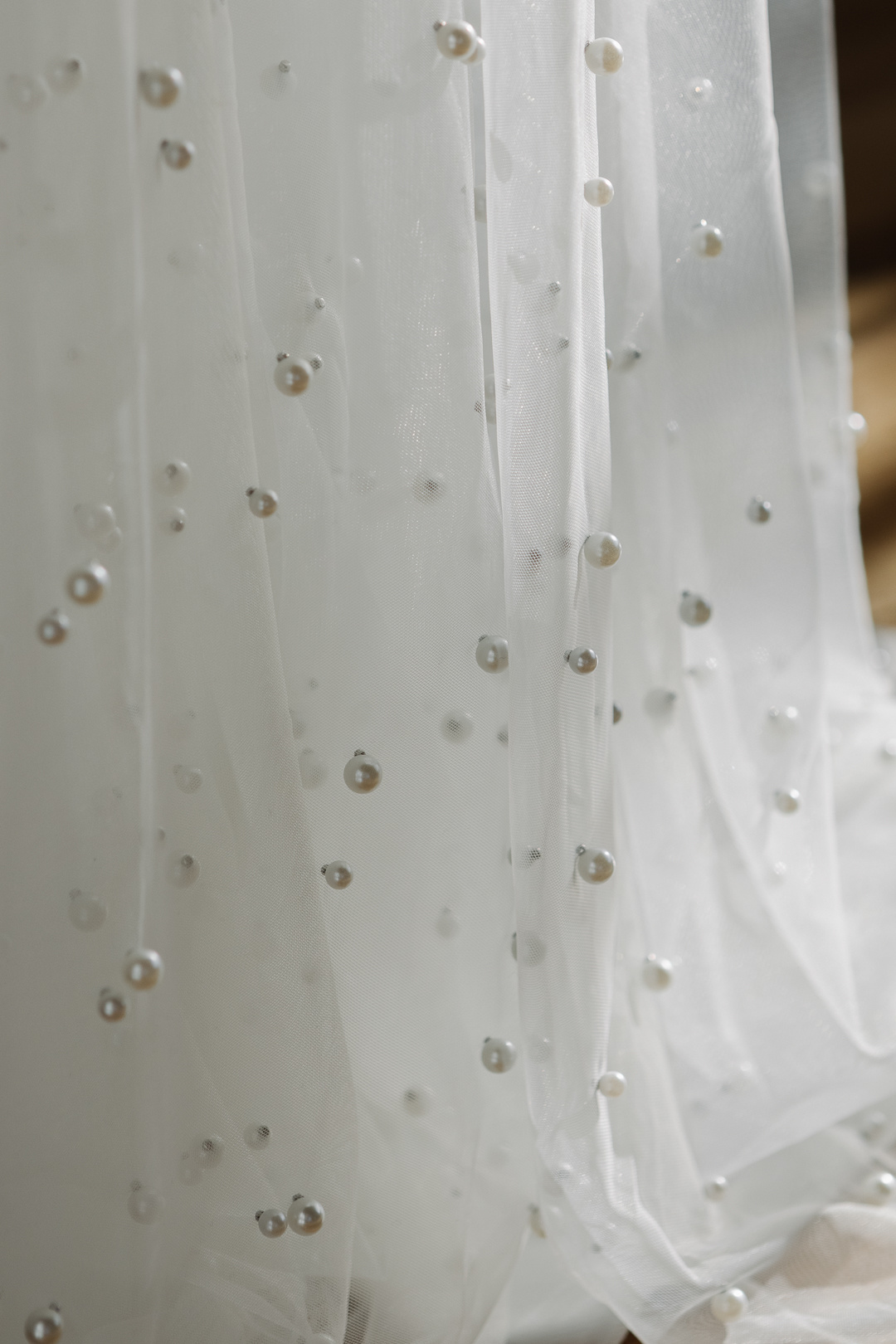 Мимоза. Фотограф в Челябинске