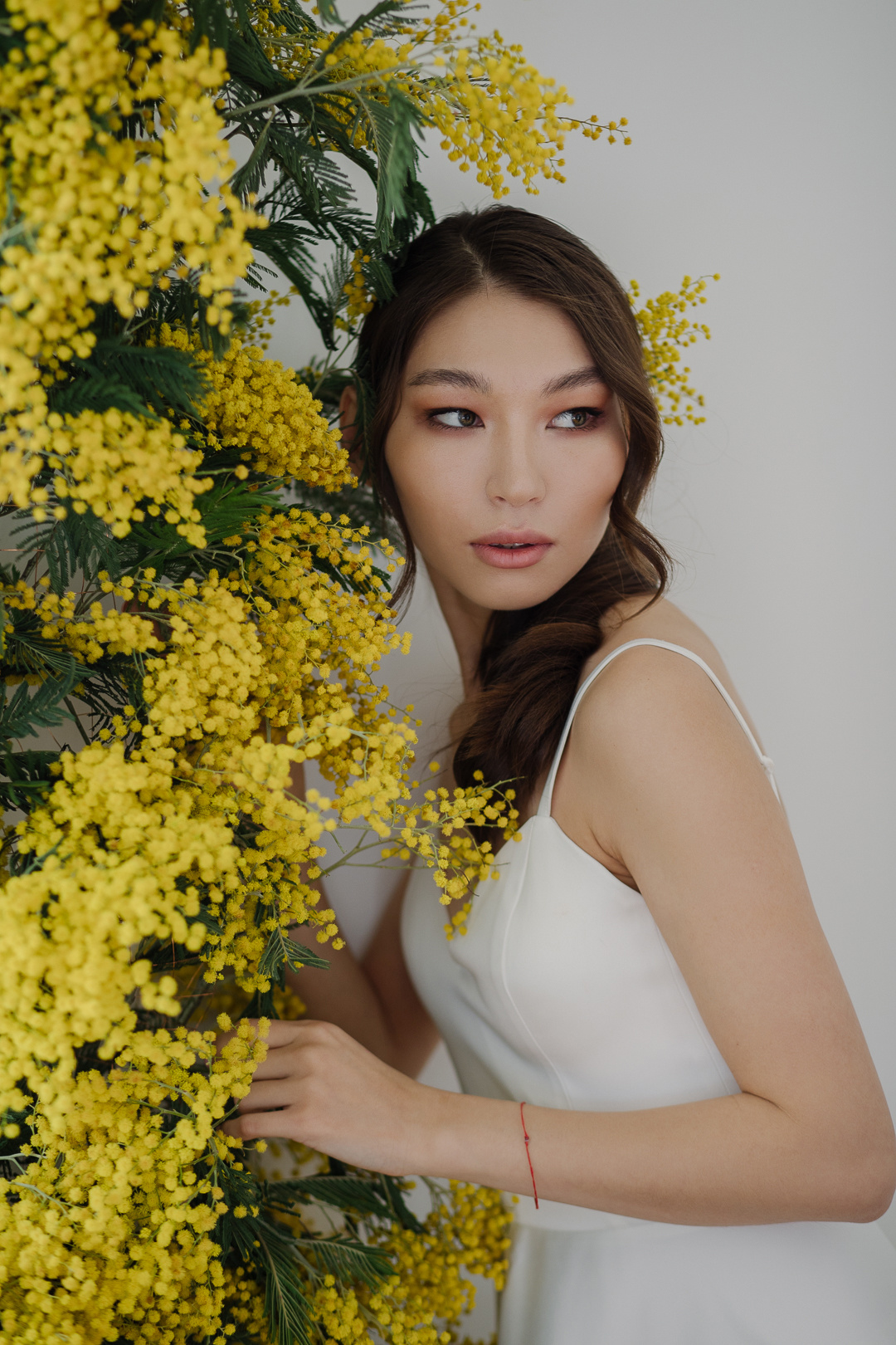 Мимоза. Фотограф в Челябинске