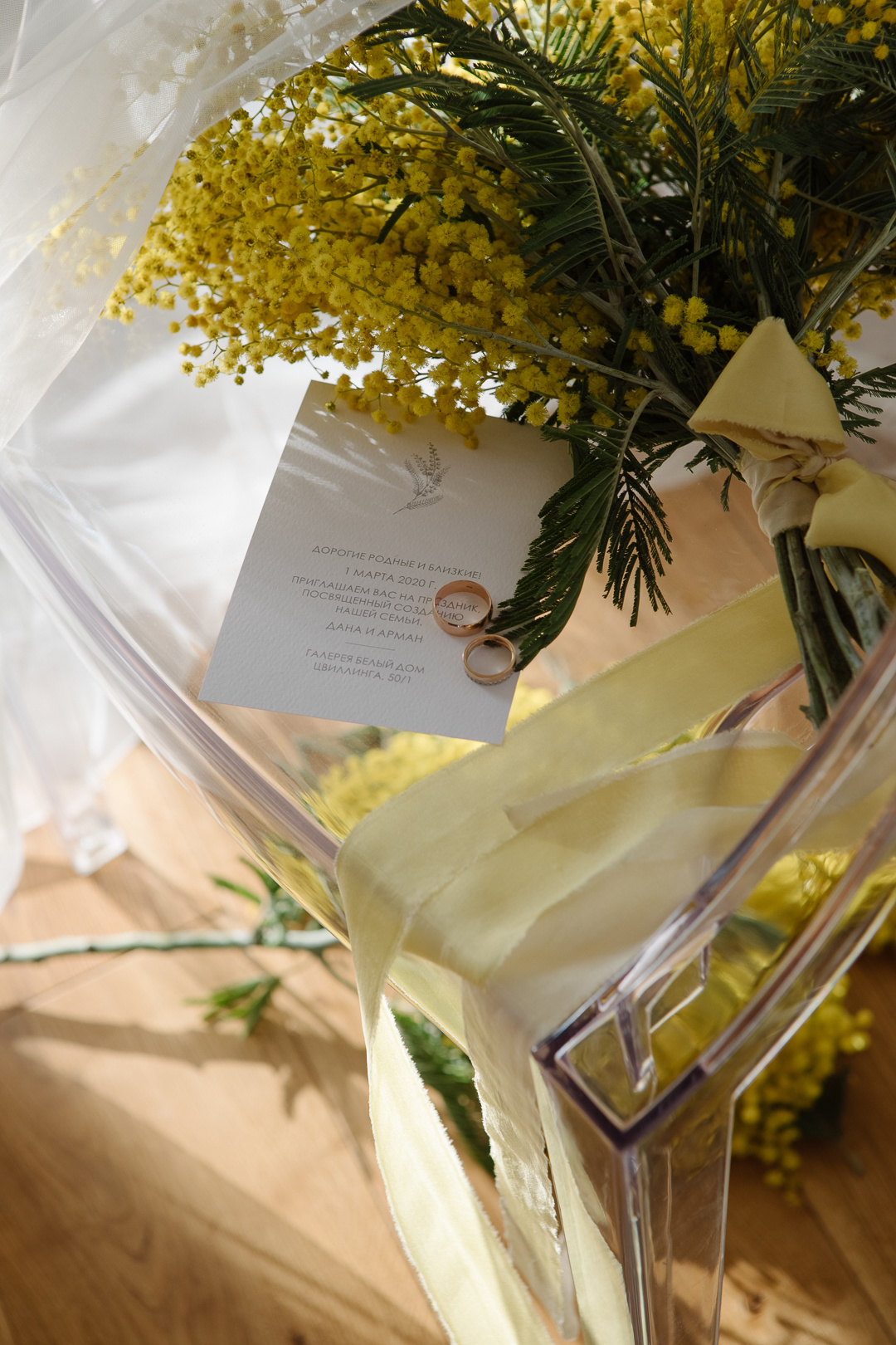 Мимоза. Фотограф в Челябинске