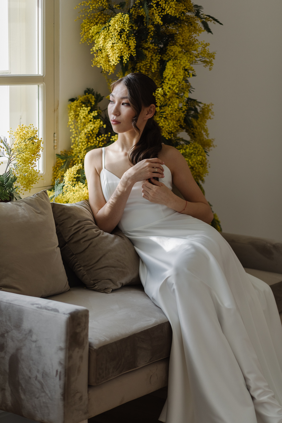 Мимоза. Фотограф в Челябинске