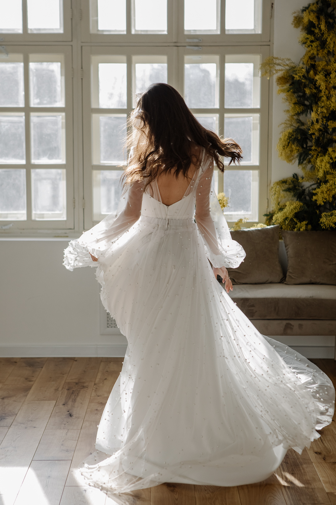 Мимоза. Фотограф в Челябинске