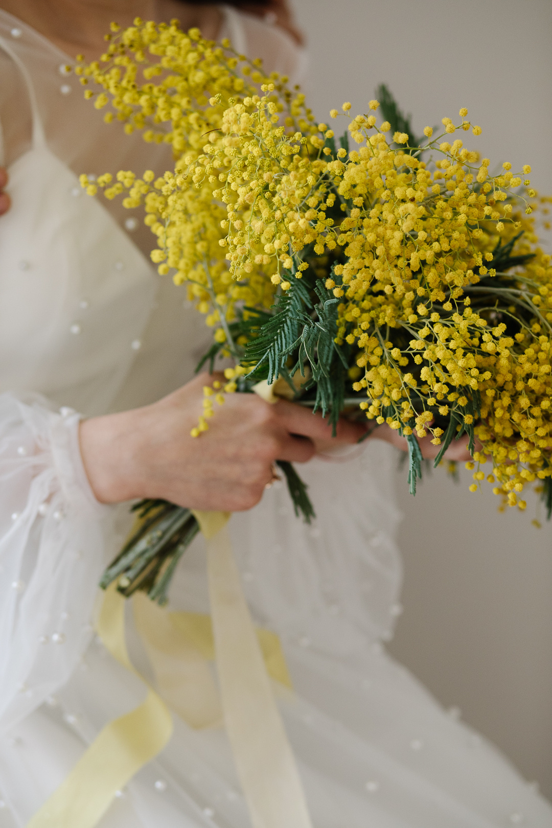 Мимоза. Фотограф в Челябинске