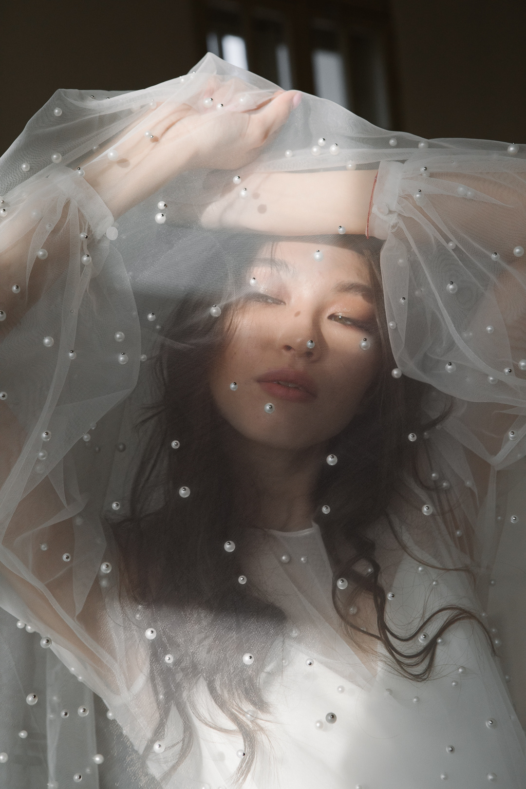 Мимоза. Фотограф в Челябинске