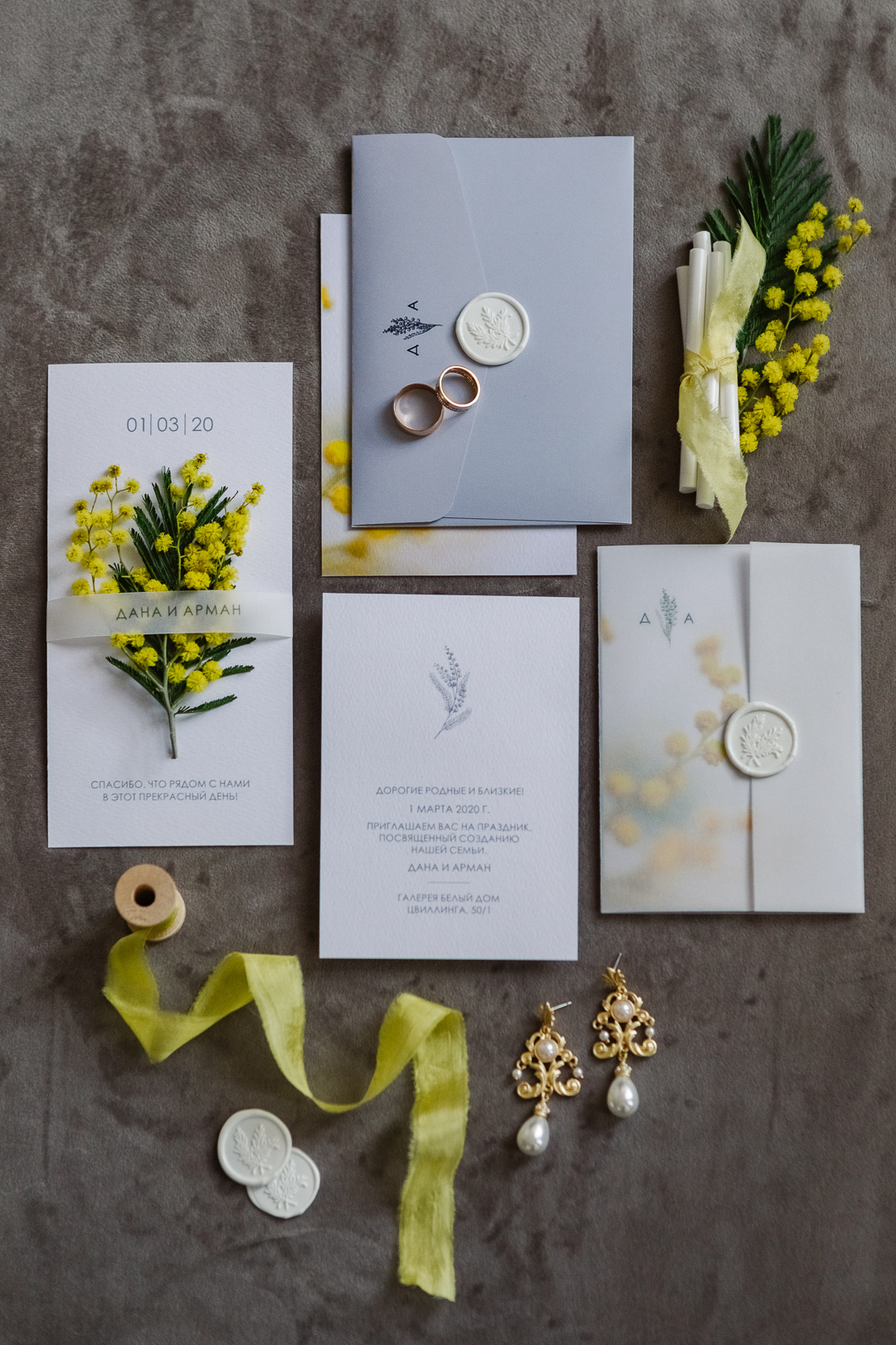 Мимоза. Фотограф в Челябинске