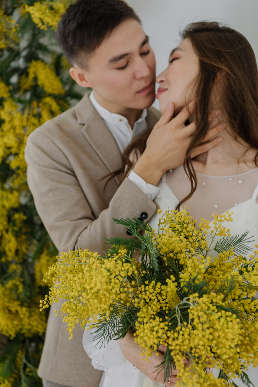 Мимоза. Фотограф в Челябинске