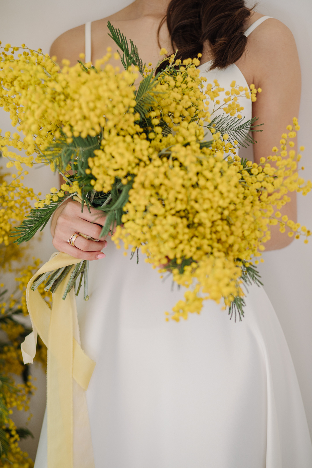 Мимоза. Фотограф в Челябинске