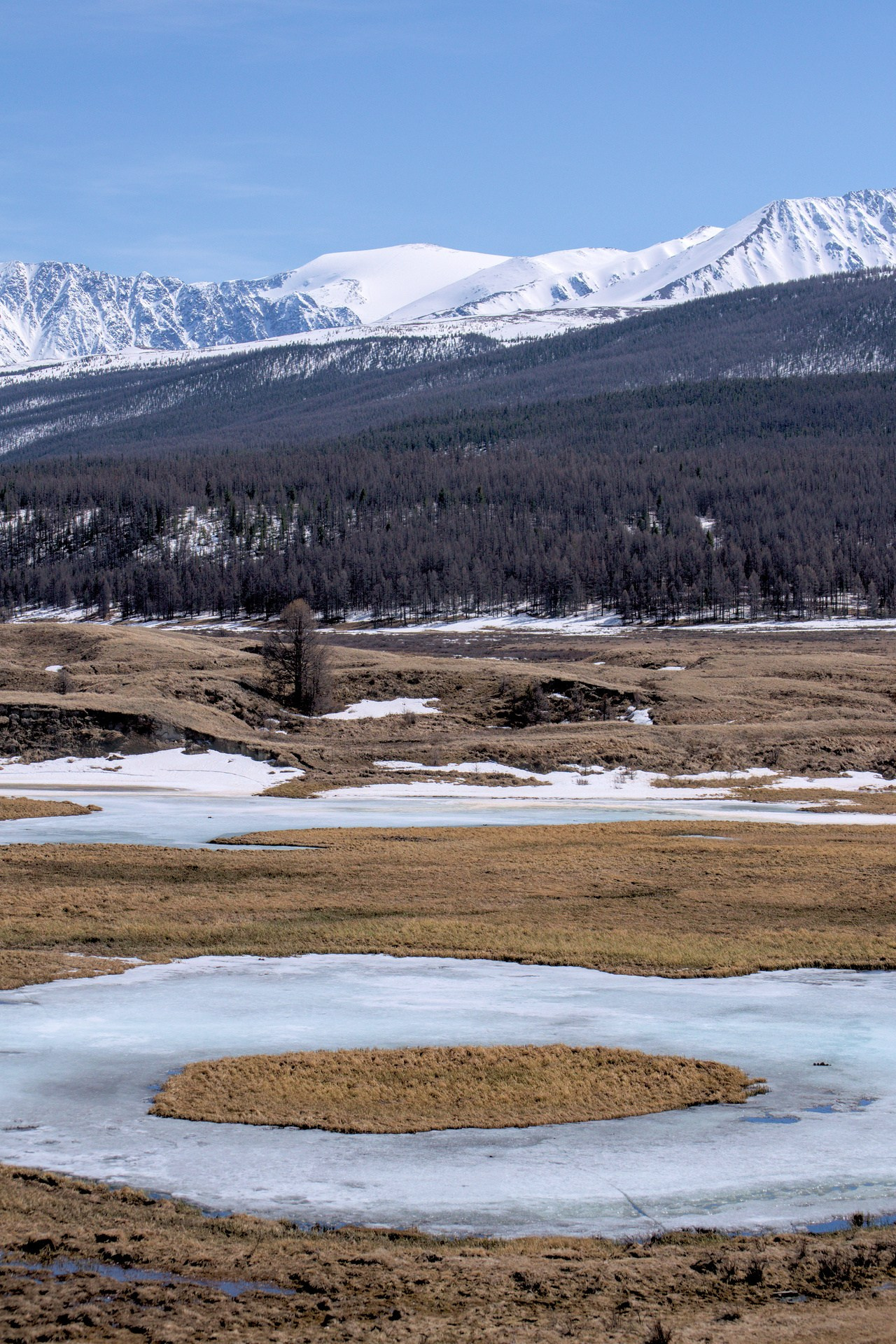 Джангысколь. Фотограф анималист, пейзажист, спортивные мероприятия. Новосибирск