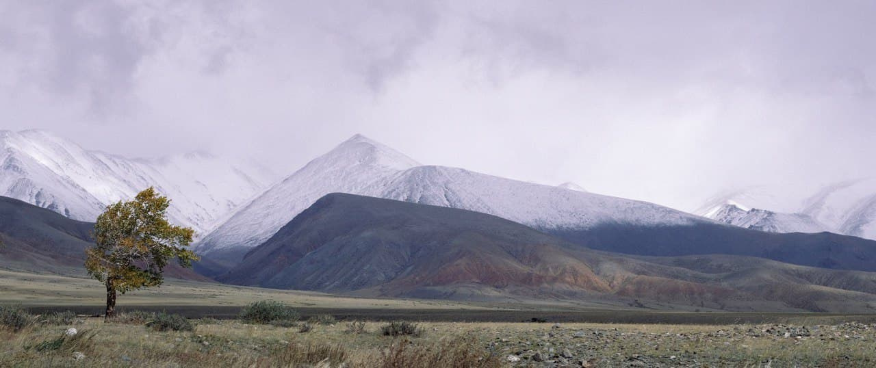 Автор: Яша Башта