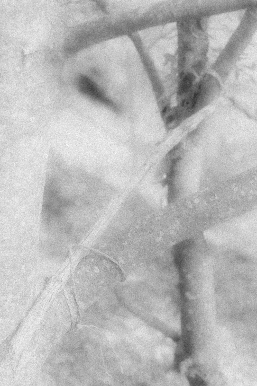 Ничего нового 20.05 — 20.07.2023