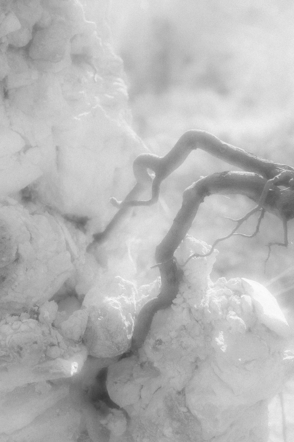 Ничего нового 20.05 — 20.07.2023