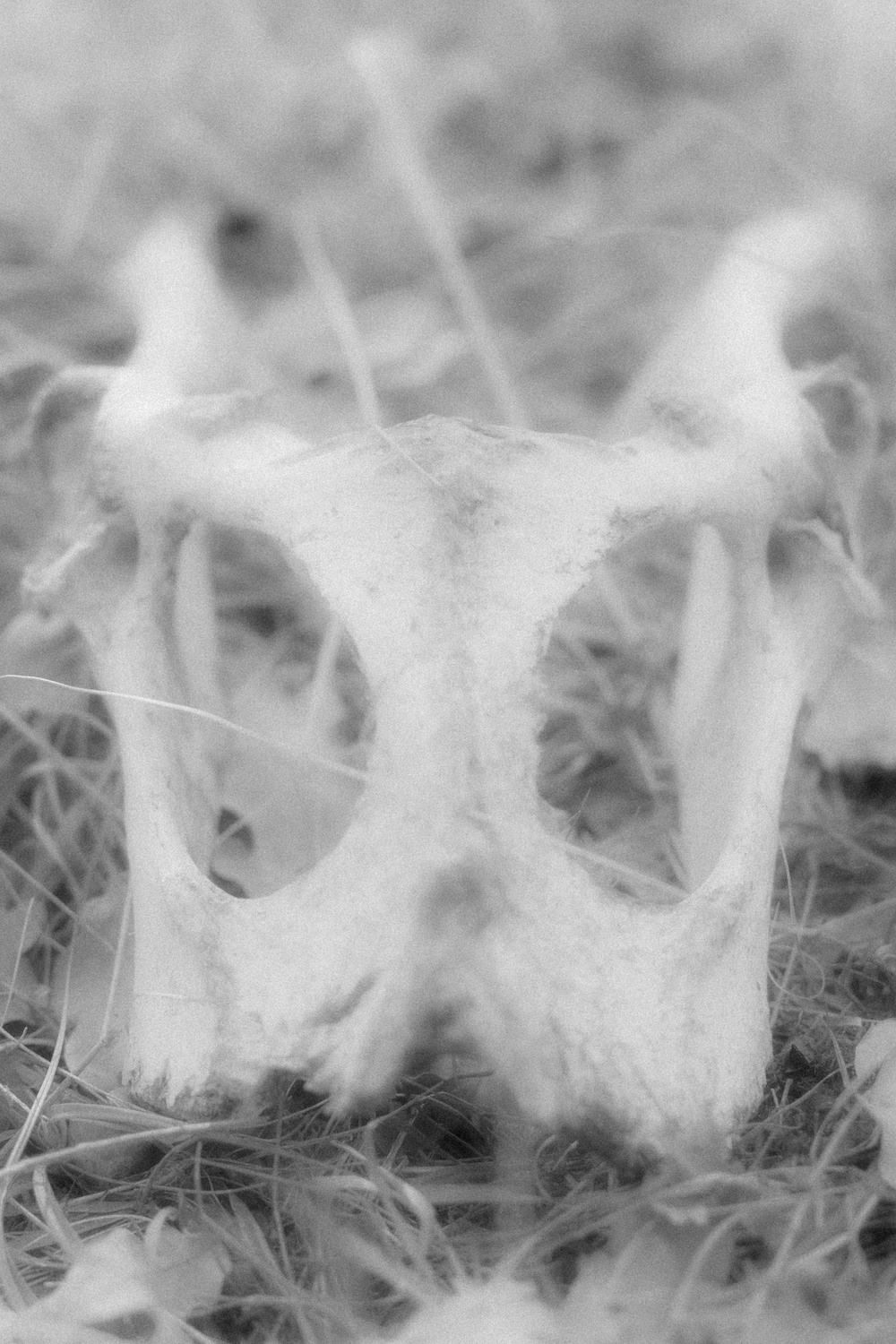 Ничего нового 20.05 — 20.07.2023