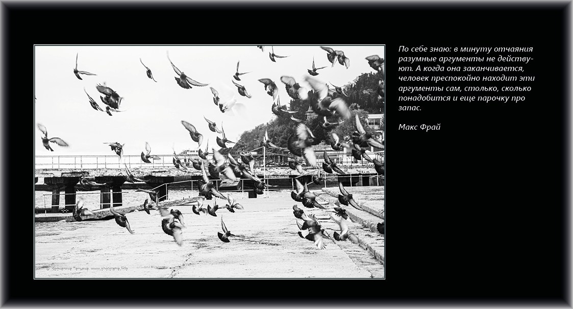 Совет дня — ориентир. Татьяна Корчагина. Фотограф, художник. Обучение фотографии