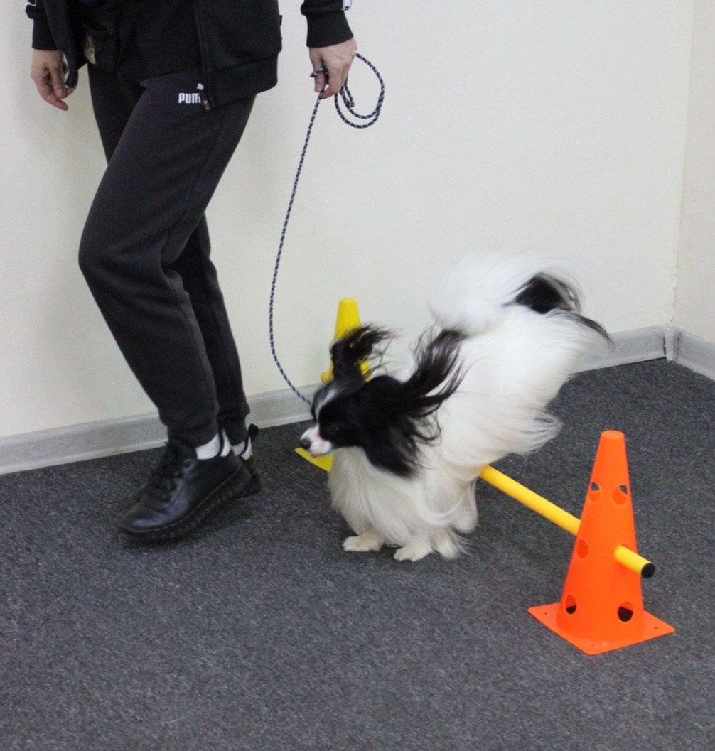 Репортаж УС «ДЦ Ральф». Катя Попова|ЛайфСтайл фотограф