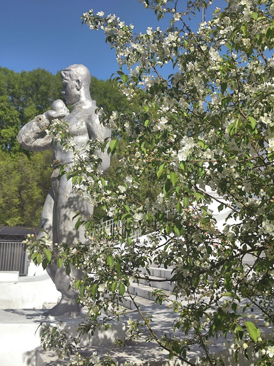 дачи, город, архитектура, стрит, репортажная фотография, фотография, Хабаровск, фотосессия, фотограф, дом, новостройка, улицы, жизнь города, town, art, photo, photographer, photo, Khabarovsk, Far East, street photo