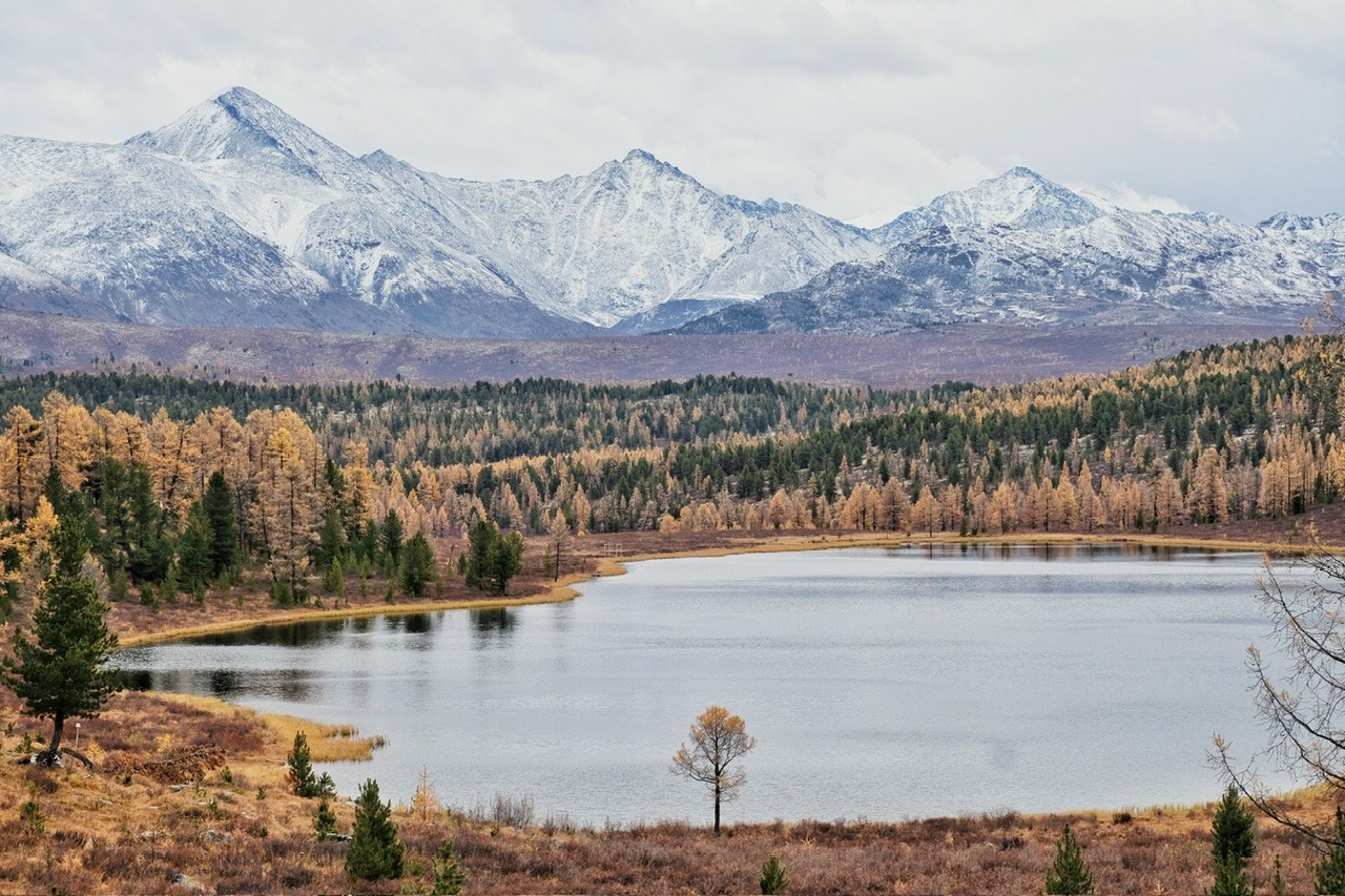 Алтай. Фотограф Евгений Андреев
