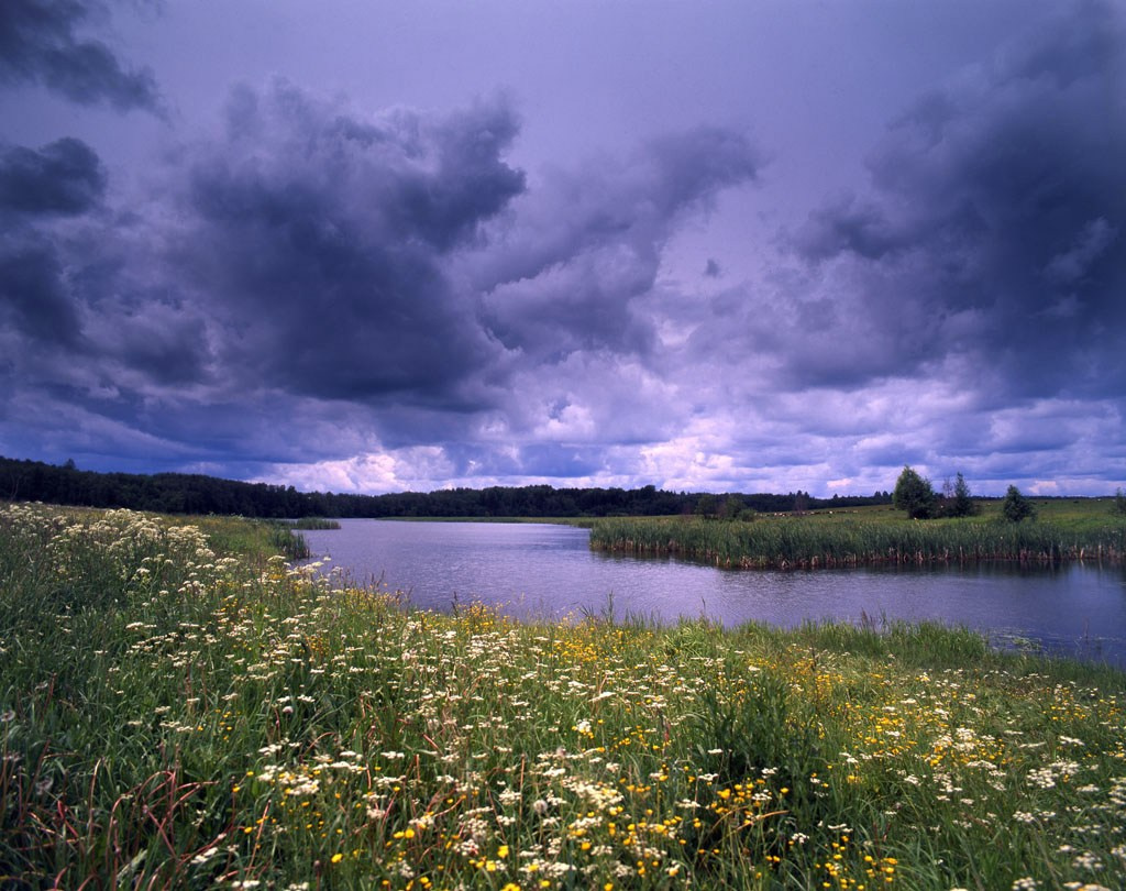 Лето. ВАДИМ ГИППЕНРЕЙТЕР — ВЕЛИКИЙ ФОТОГРАФ ЗЕМЛИ РУССКОЙ