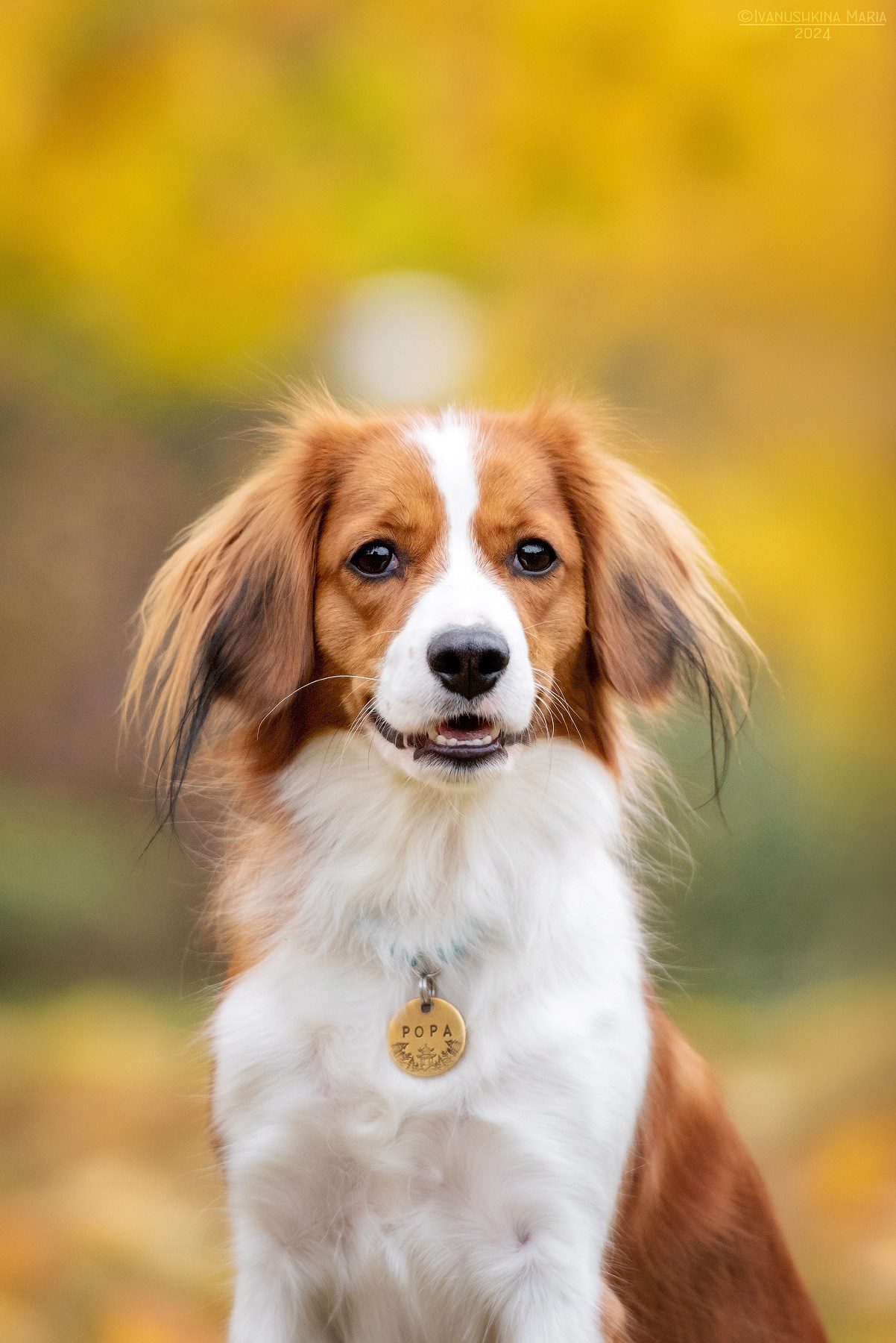 койкерхондье