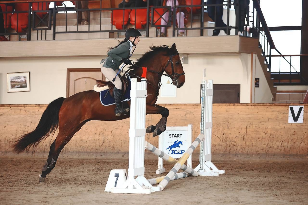 Фотосессия с лошадью в коншне в Москве