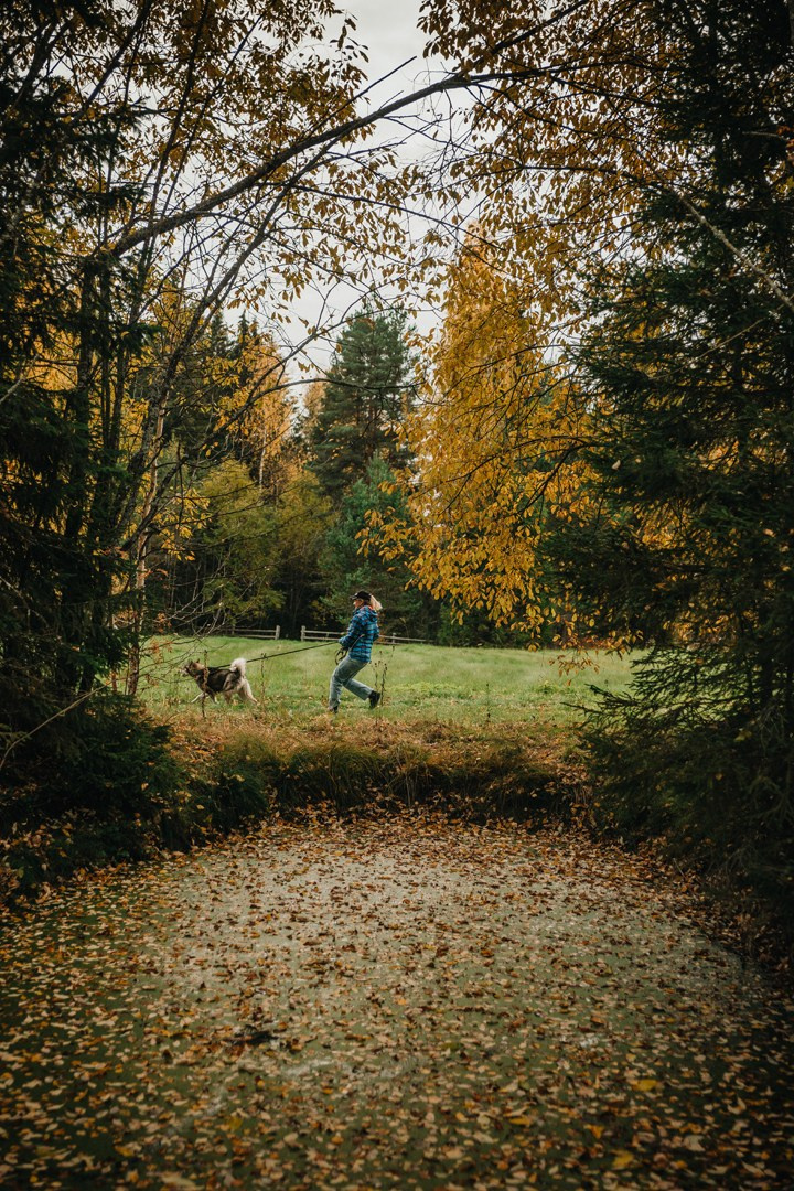 Land Rover trip-10. Жуков Илья  свадебный фотограф в Москве